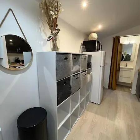 Maisonnette Studio Avec Jardin דירה אנז'ה